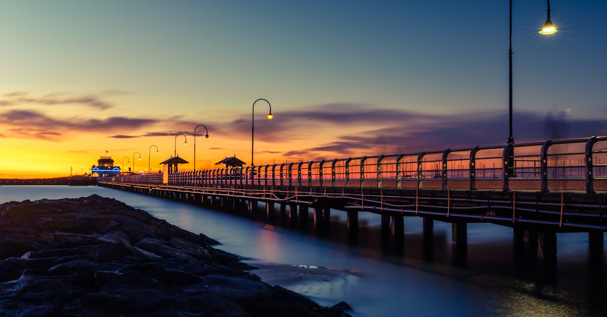 An In-Depth Look at Auricular Acupuncture for Pain Management