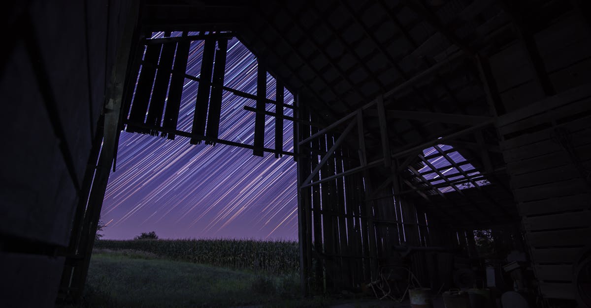 Exploring the Connection Between Acupuncture and Increased Energy