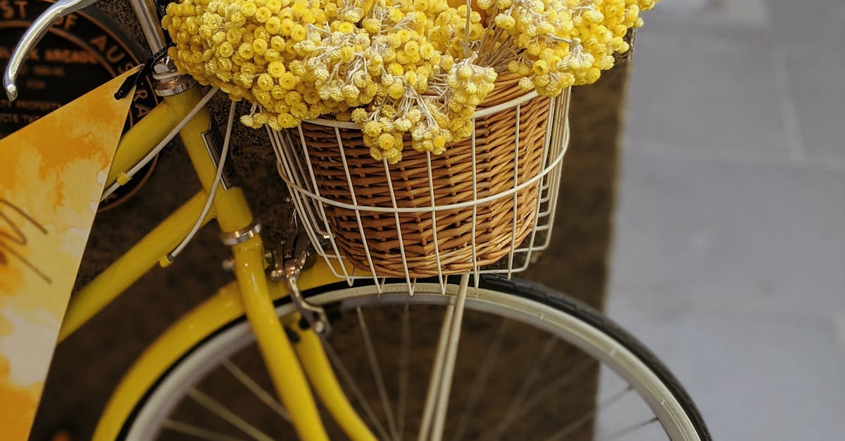 Understanding Qualifications: Key Questions for Your Melbourne Acupuncturist