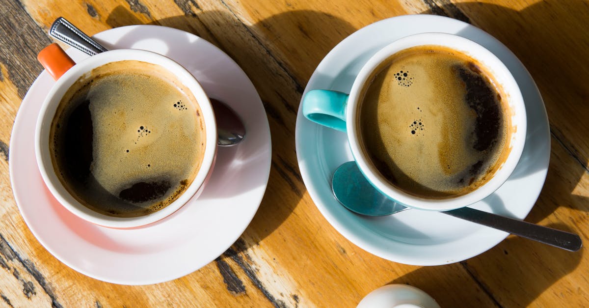 Understanding the Principles of Traditional Chinese Acupuncture