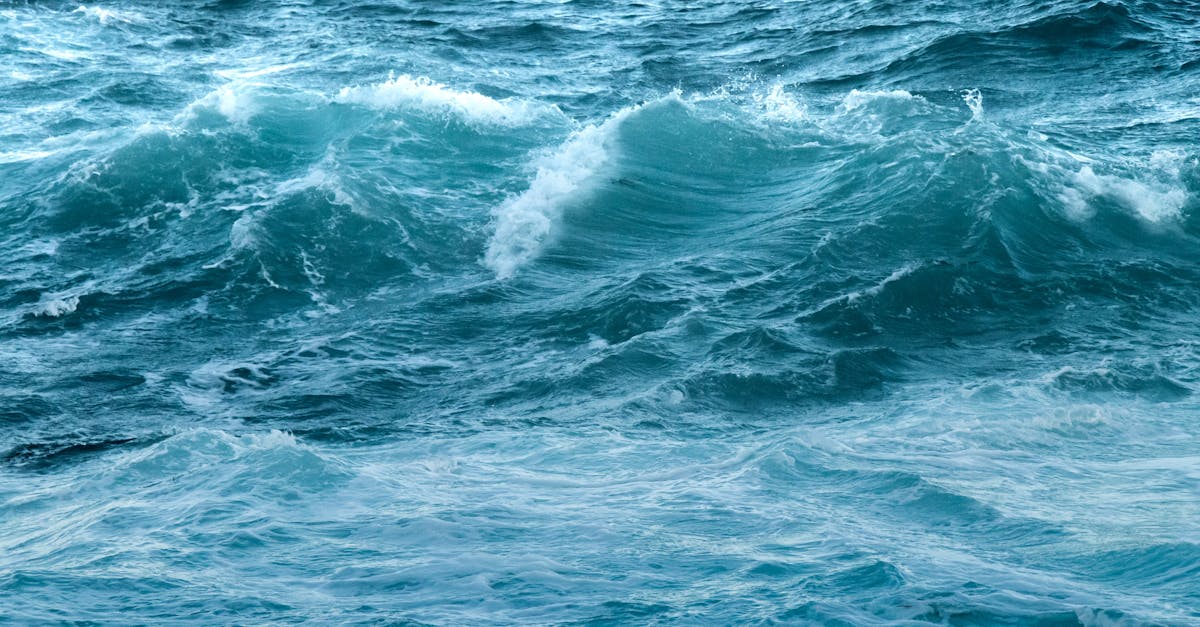 Understanding the Role of Acupuncture in Managing Chronic Pain