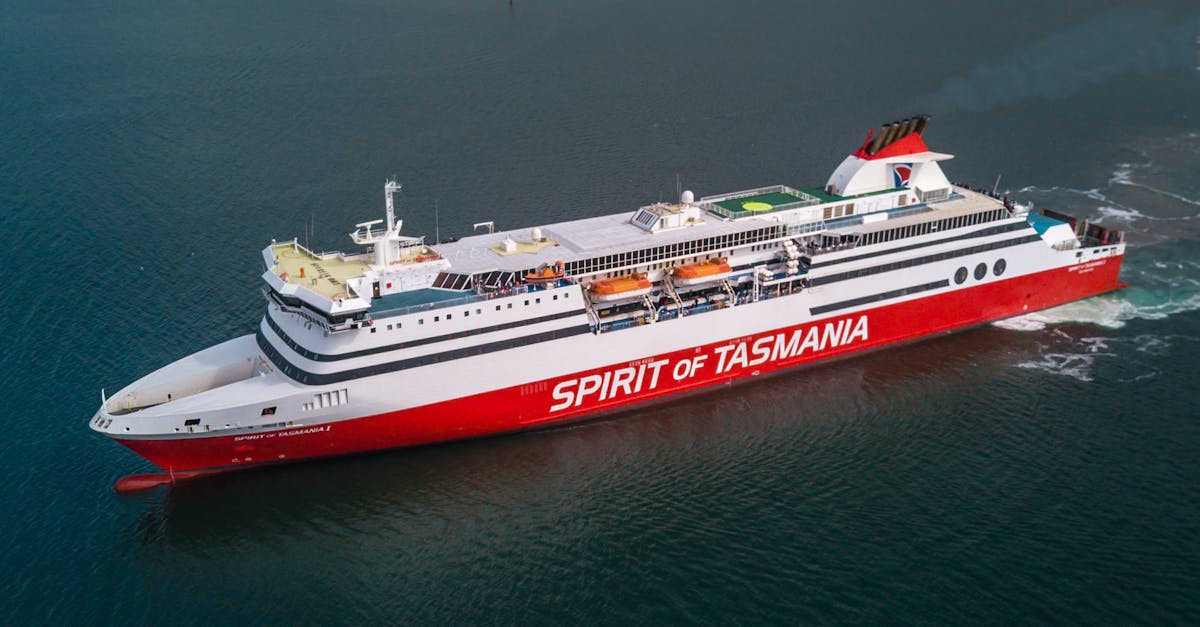 Understanding the Science Behind Acupuncture and Immunity