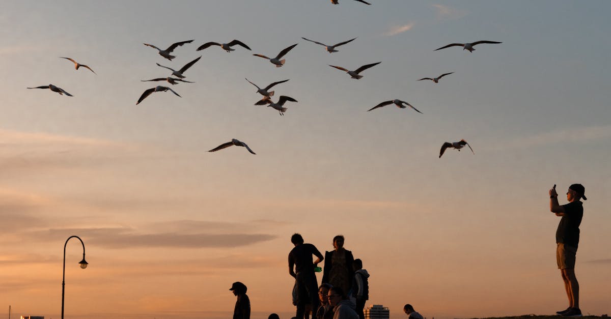 Understanding the Science Behind Cupping Therapy